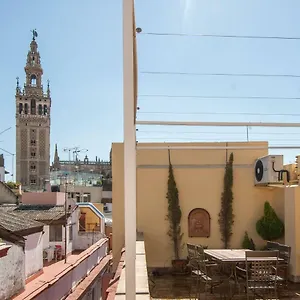 https://botanic-duplex-terrace-5-pax.es-andalucia.com